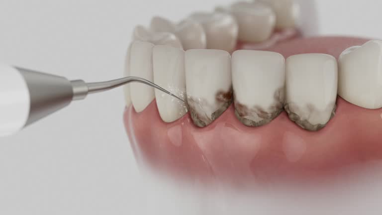 Reliable Dental contractor in San Carlos Park, FL by Dentist Open Now